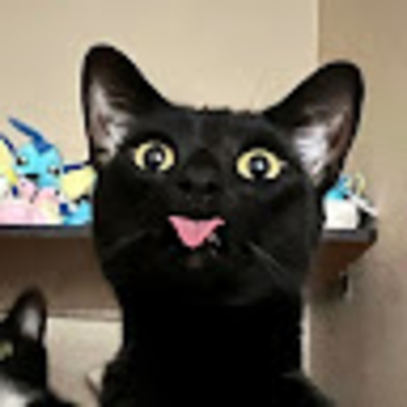 binxsbasics